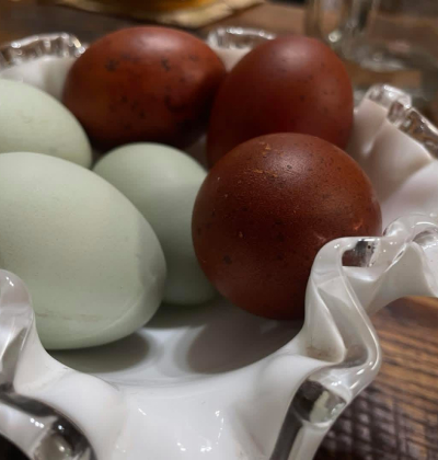 Rambling Rose Copper Marans Dark Eggers